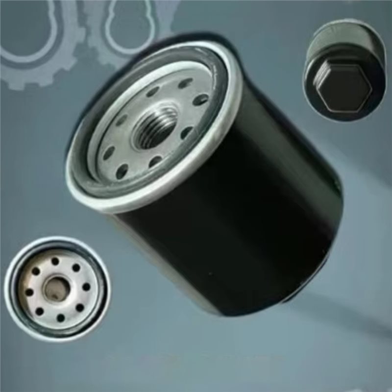 SHGO-320-400CC BS175MN-184MN O - Motorcycle Oil Filter recension och pris