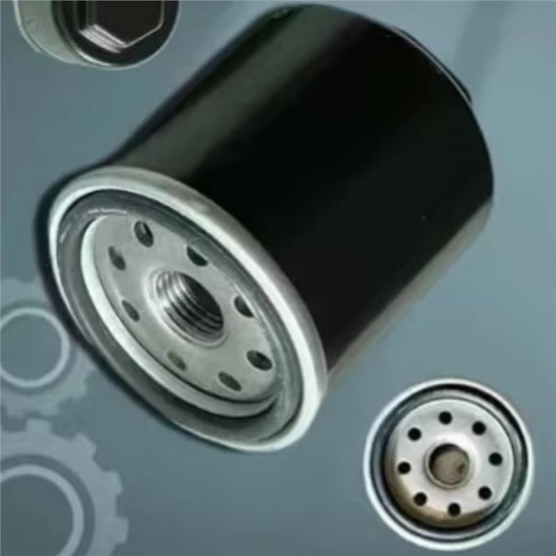 SHGO-320-400CC BS175MN-184MN O - Motorcycle Oil Filter recension och pris